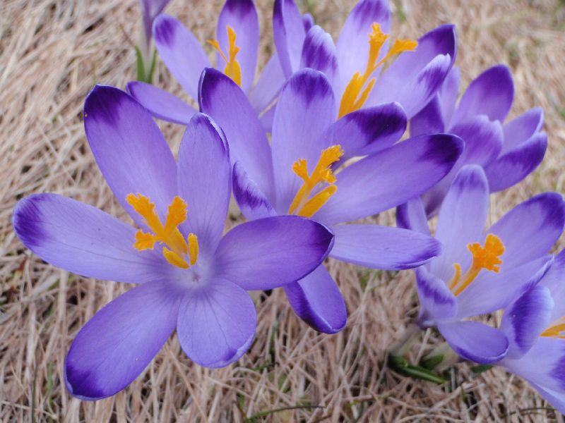 Trwa �adowanie zdj�cia...