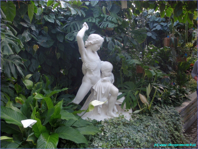 Trwa �adowanie zdj�cia...