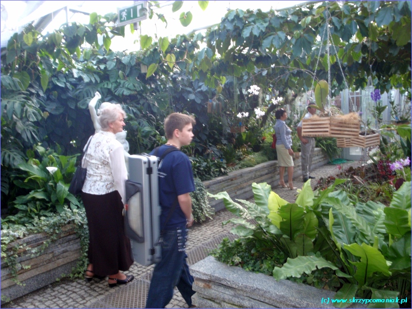 Trwa �adowanie zdj�cia...