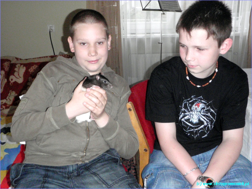 Trwa �adowanie zdj�cia...