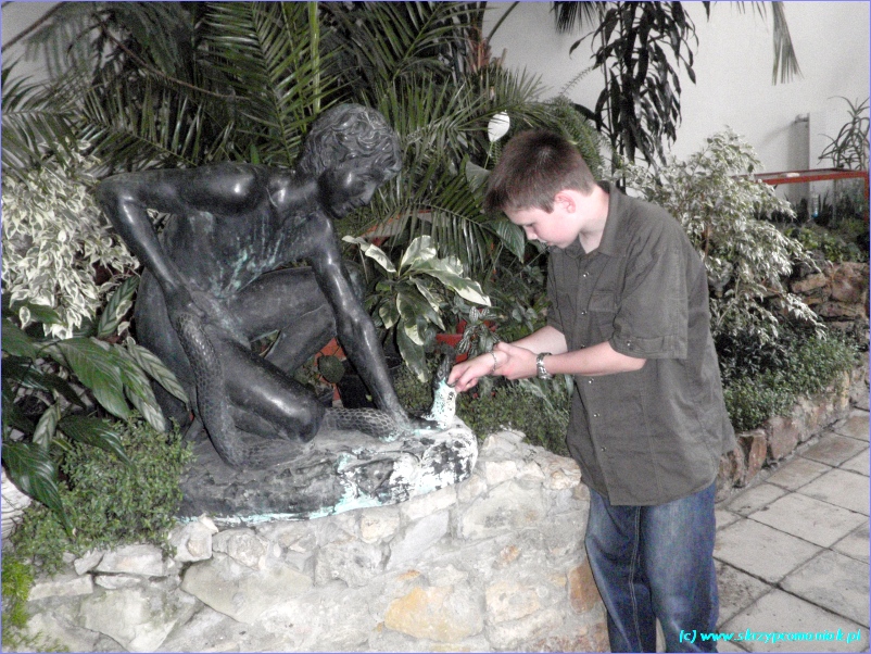 Trwa �adowanie zdj�cia...