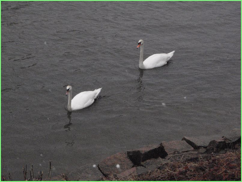 Trwa �adowanie zdj�cia...