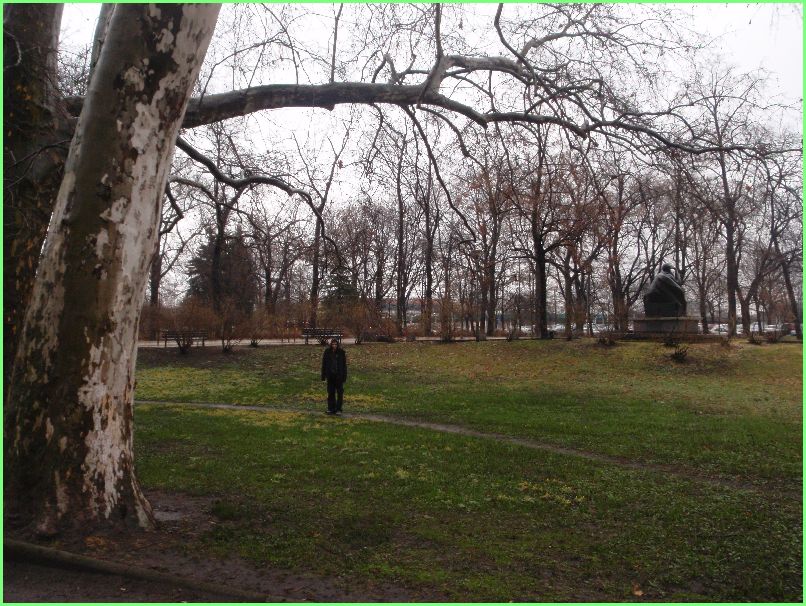 Trwa �adowanie zdj�cia...