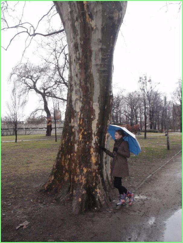 Trwa �adowanie zdj�cia...