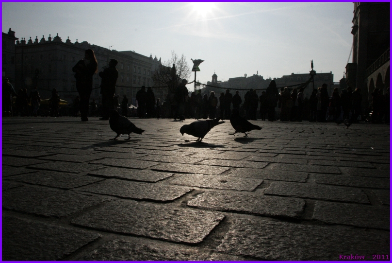 Trwa �adowanie zdj�cia...