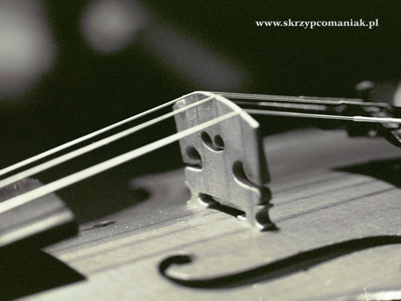 Trwa �adowanie zdj�cia...