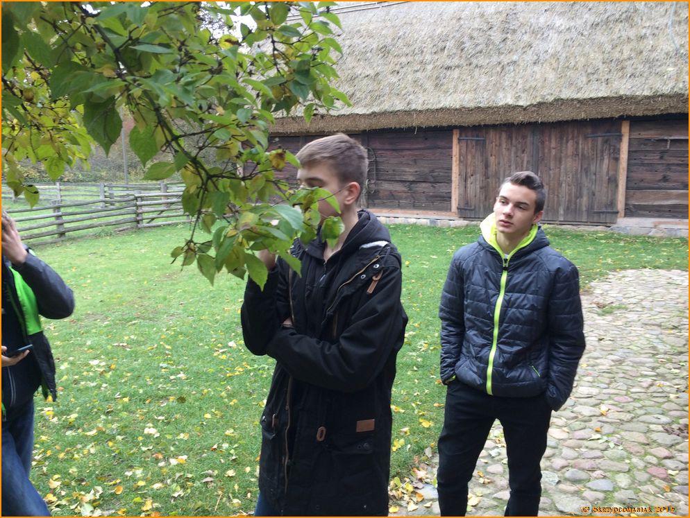 Trwa �adowanie zdj�cia...