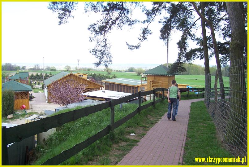 Trwa �adowanie zdj�cia...