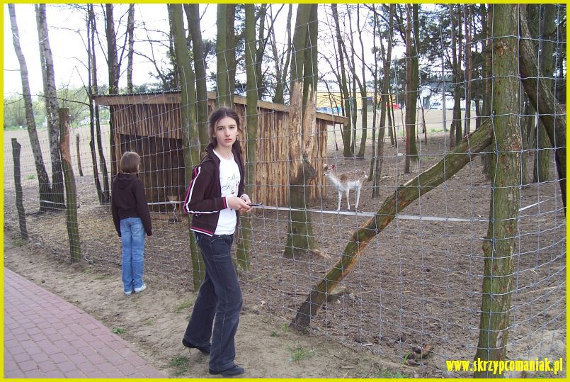 Trwa �adowanie zdj�cia...