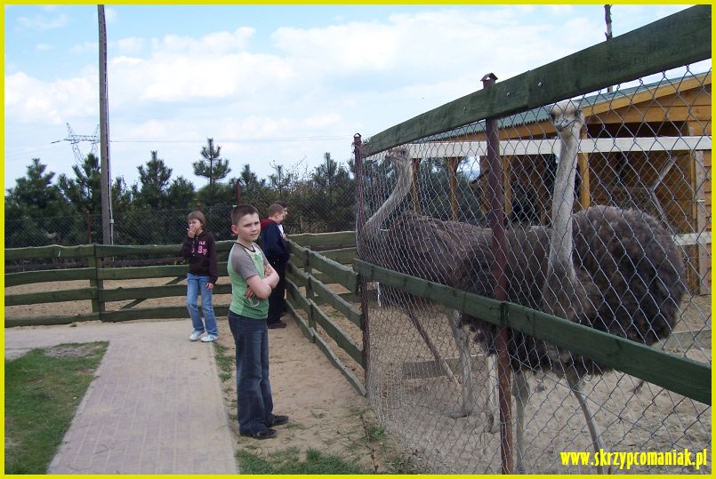 Trwa �adowanie zdj�cia...