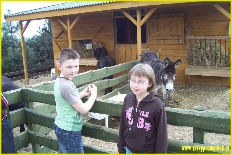 Trwa �adowanie zdj�cia...