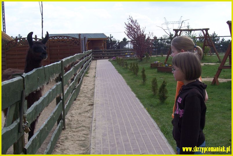 Trwa �adowanie zdj�cia...