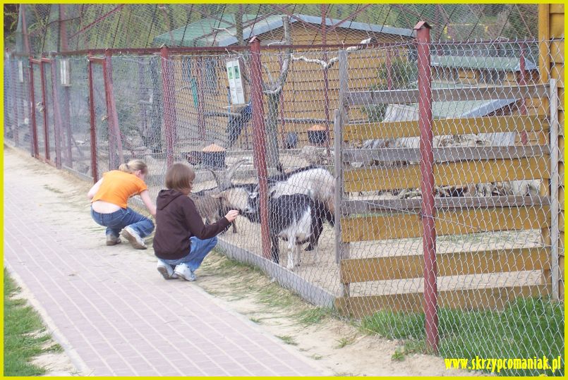 Trwa �adowanie zdj�cia...