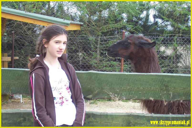 Trwa �adowanie zdj�cia...