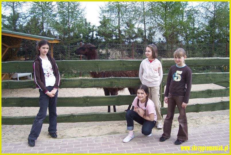 Trwa �adowanie zdj�cia...