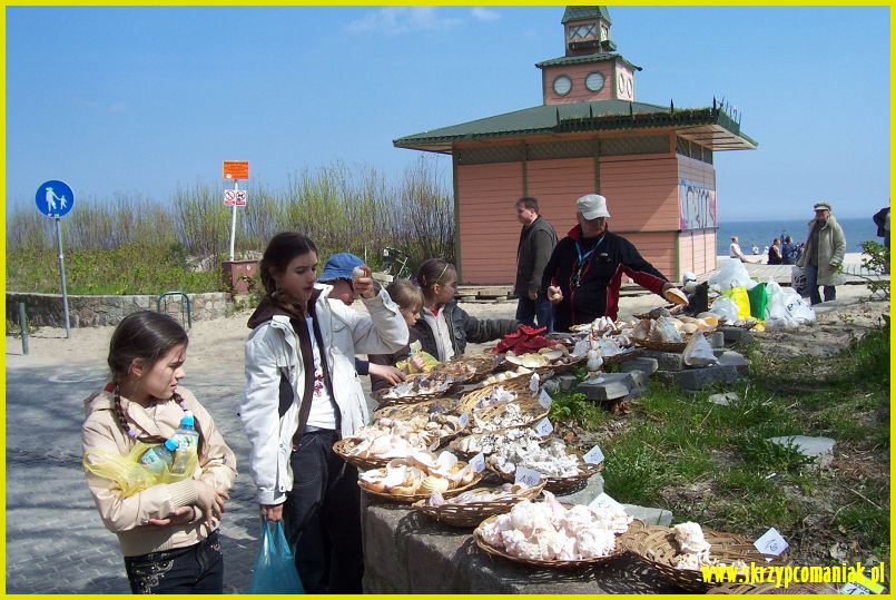 Trwa �adowanie zdj�cia...