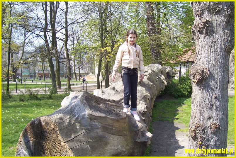 Trwa �adowanie zdj�cia...