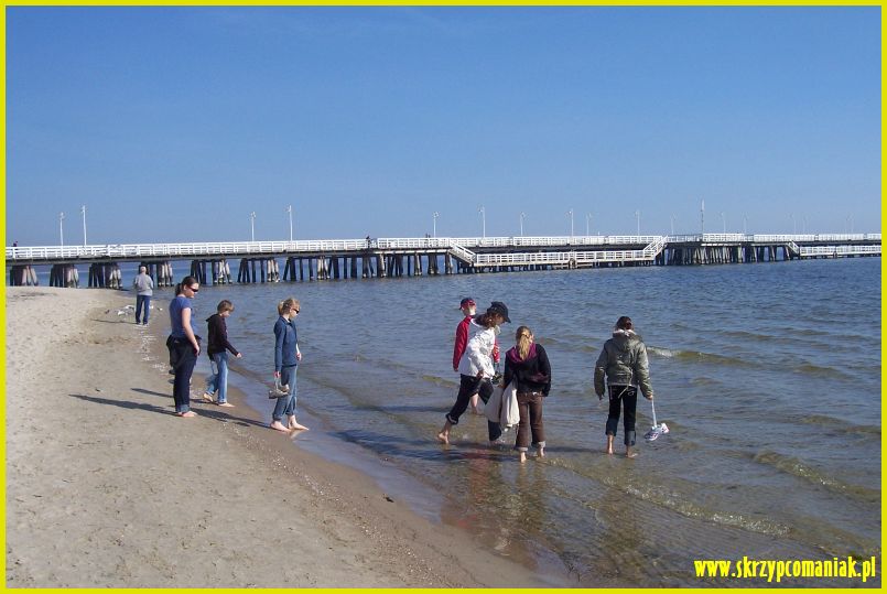 Trwa �adowanie zdj�cia...