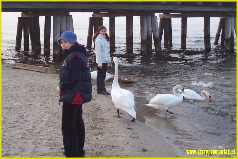 Trwa �adowanie zdj�cia...