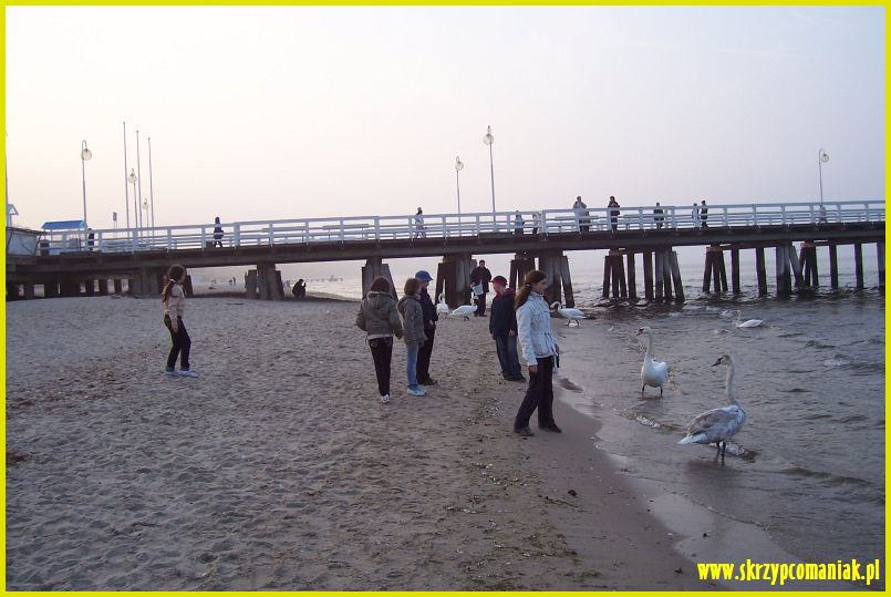 Trwa �adowanie zdj�cia...