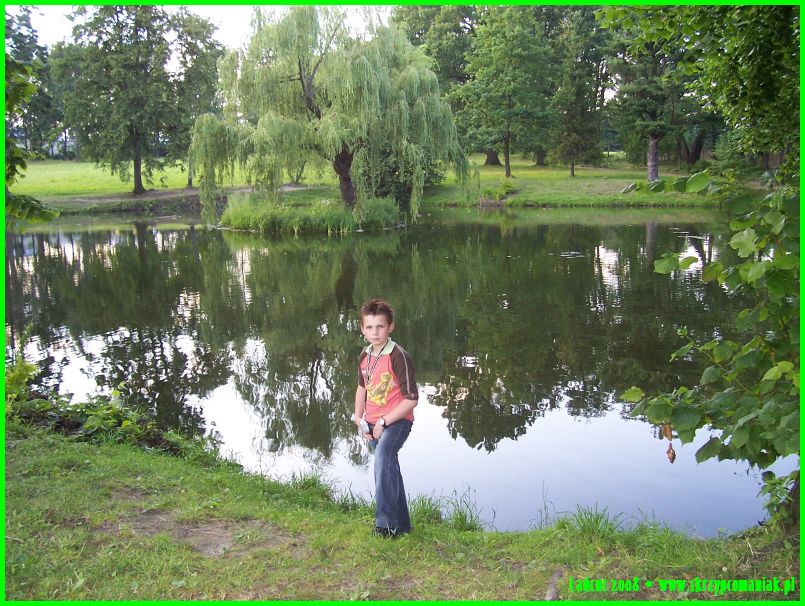 Trwa �adowanie zdj�cia...