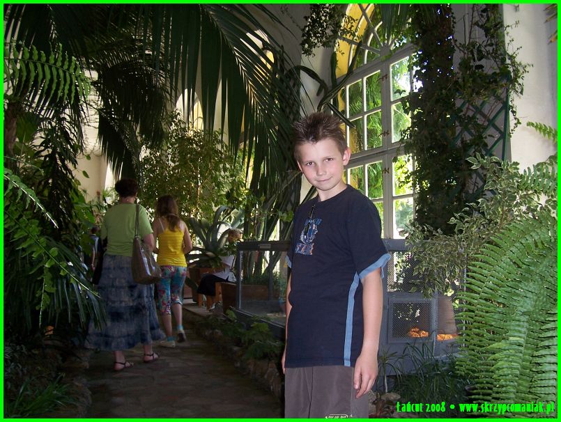 Trwa �adowanie zdj�cia...