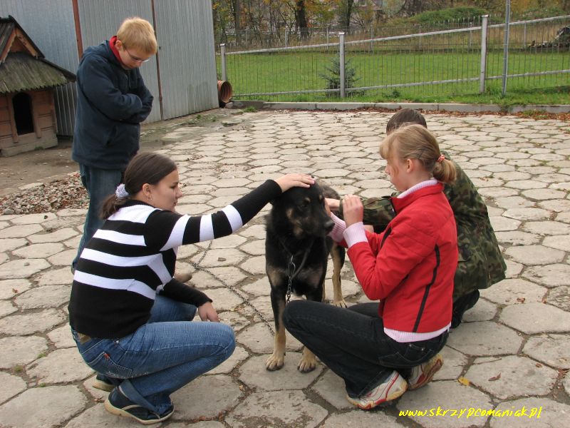 Trwa �adowanie zdj�cia...