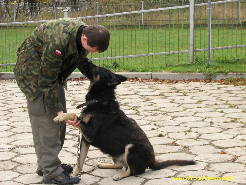 Trwa �adowanie zdj�cia...